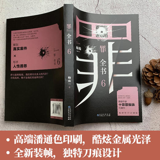 罪全书6 蜘蛛 著 文学 商品图2
