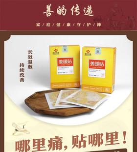 姜贴 4盒装 共60贴（善养堂）