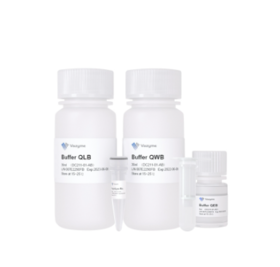 RapidLyse Plasmid Mini Kit