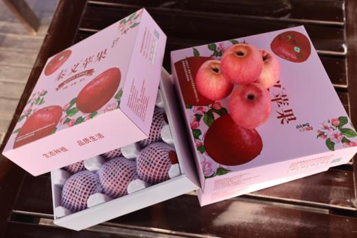 秦义妃 新鲜苹果 今年新果 绿色有机水果 果园直发 商品图8