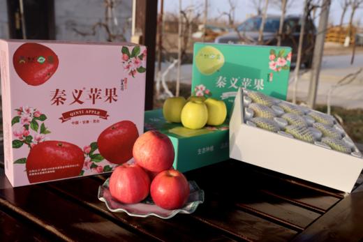 秦义皇（瑞雪） 新鲜苹果 今年新果 绿色有机水果 果园直发 商品图10