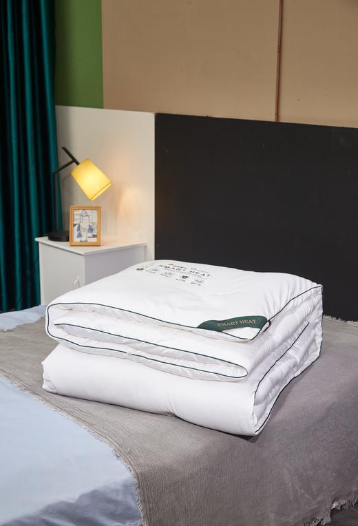 Kaseen开诚K菌自发热德绒被2.0冬被【品牌直发】A-1413 商品图6