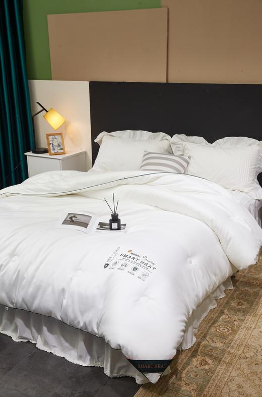 Kaseen开诚K菌自发热德绒被2.0冬被【品牌直发】A-1413 商品图3