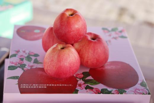 秦义妃 新鲜苹果 今年新果 绿色有机水果 果园直发 商品图4