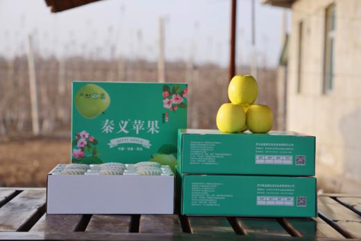 秦义皇（瑞雪） 新鲜苹果 今年新果 绿色有机水果 果园直发 商品图9