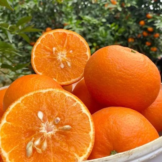 洽鲜果 广西武鸣沃柑新鲜现摘 19.9元/9斤 当季沃柑 商品图6