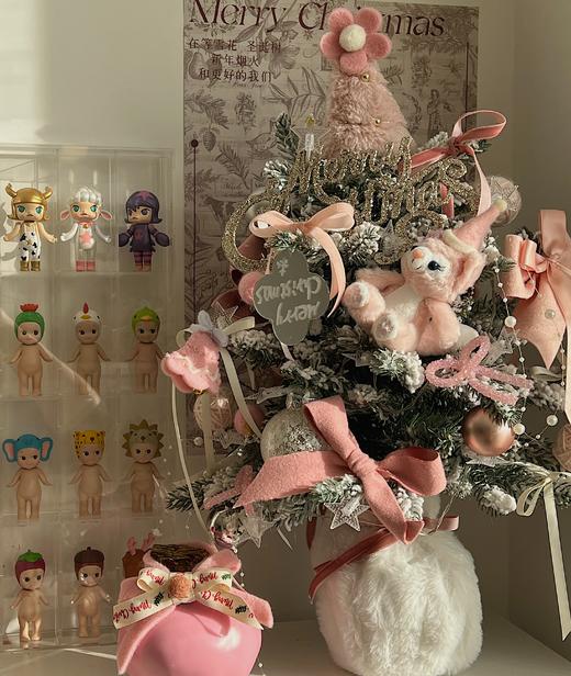 【圣诞版 注定红】朱顶红 无土无水也开花 （可快递，默认顺丰到付） 商品图3