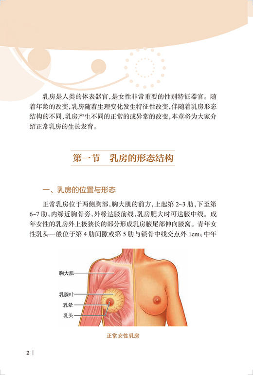 乳腺疾病防治指导手册 妇幼健康知识科普丛书 全科医生基层医护入门科普读物 华彬 王建东主编 人民卫生出版社9787117338134 商品图4