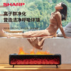 夏普 （SHARP)3D仿真炭火石墨烯踢脚线取暖器加湿电暖气家用浴室电暖器防水地暖卧室壁炉火焰烤火炉 HX-BR227A-B 商品缩略图2