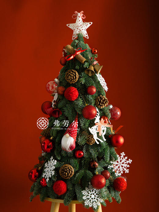 2023豪华圣诞诺贝松【60*30cm】 商品图0