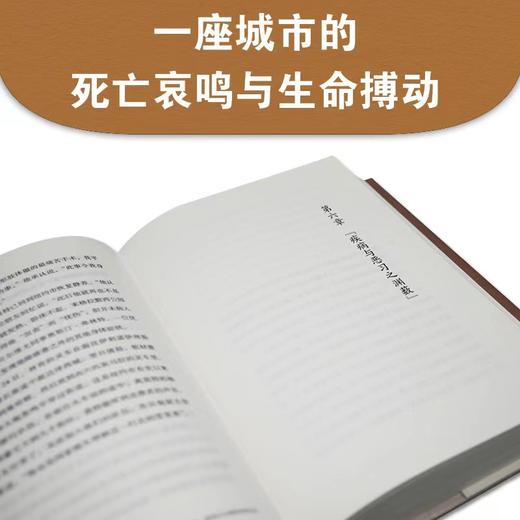 贝尔维尤：美国公立医院的死与生 商品图6