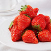 【辽宁• 丹东九九鲜草莓】 草莓中的红颜美人 鲜红如火 果肉细嫩 汁水四溢 香味浓郁 过年送礼佳品 商品缩略图0