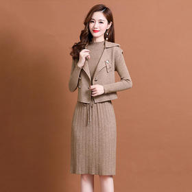 2022秋季新款时尚气质修身显瘦百搭套装两件套毛衫连衣裙 HR22079