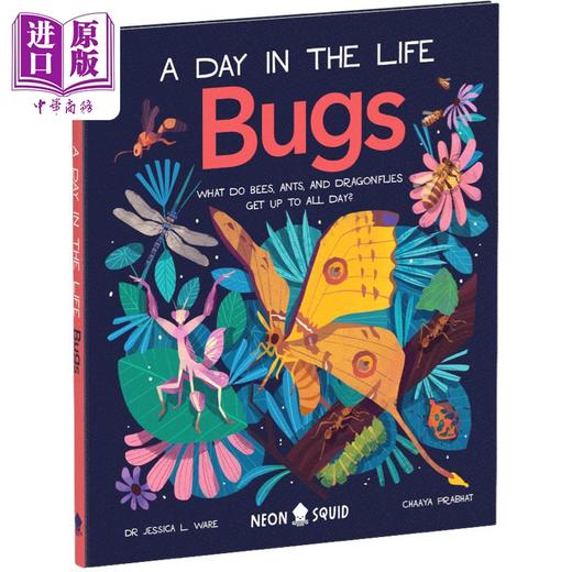 【中商原版】A Day in the Life 一天的小生活系列2册套装 野外动物百科科普绘本童书 Bugs 昆虫 Big Cats 大猫 英文原版进口 商品图2