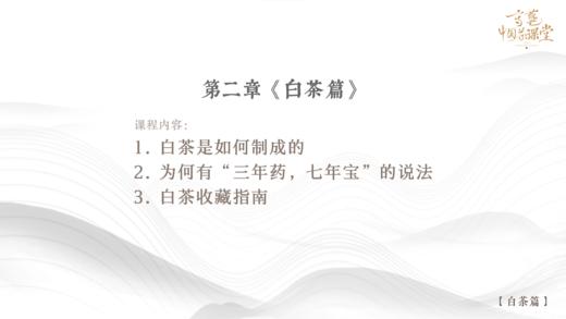 白茶：“三年药，七年宝”，为什么建议收藏白茶？ 商品图0