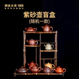 【积分兑换】澜沧古茶紫砂壶盲盒（随机1款）