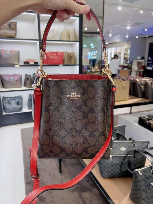 美现！¥1350直邮到手！Coach Mollie22水桶包 商品图0