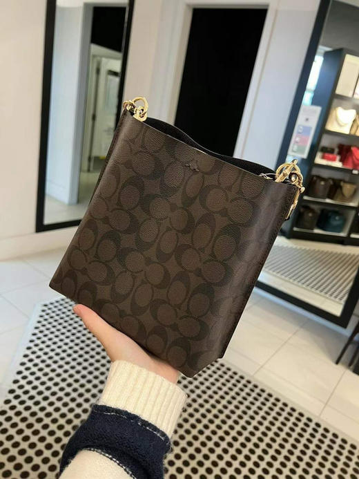 美现！¥1350直邮到手！Coach Mollie22水桶包 商品图4