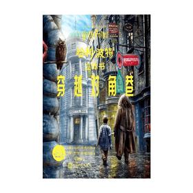 哈利波特立体书穿越对角巷 马修·莱因哈特 著 玩具书