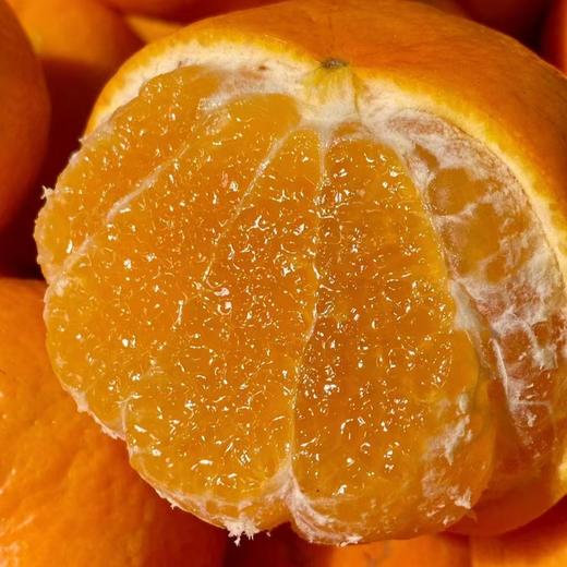 洽鲜果 广西武鸣沃柑新鲜现摘 19.9元/9斤 当季沃柑 商品图7