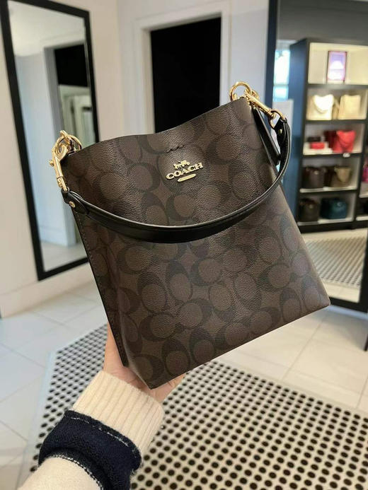 美现！¥1350直邮到手！Coach Mollie22水桶包 商品图3