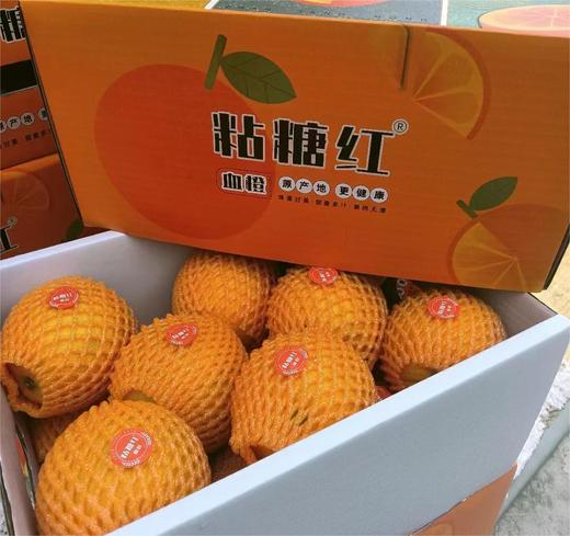 橙中贵族-粘糖红血橙（毛重9斤 ）| 水果 商品图2