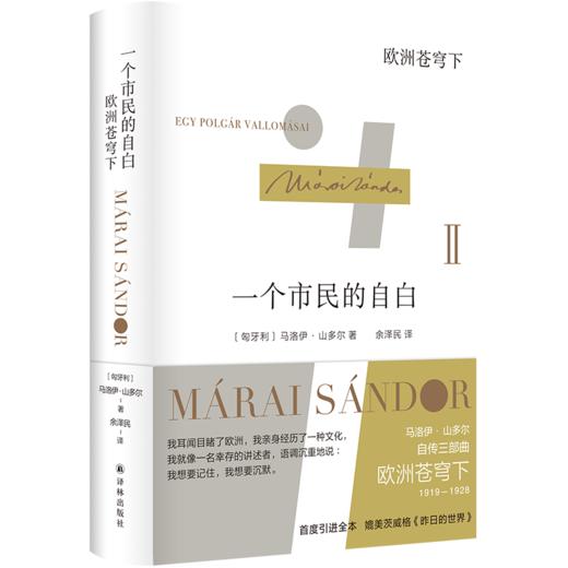 一个市民的自白：欧洲苍穹下 商品图0