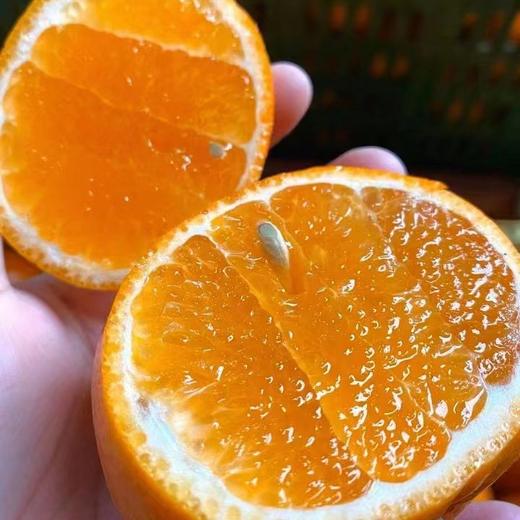 洽鲜果 广西武鸣沃柑新鲜现摘 19.9元/9斤 当季沃柑 商品图3