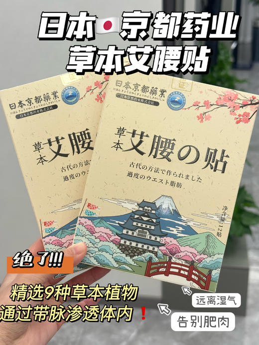 【1.3 入店必buy 】日本京都药业艾腰贴 5盒 商品图1