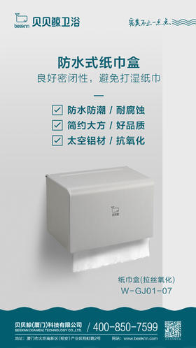 WGJ01-07/纸巾盒（长）