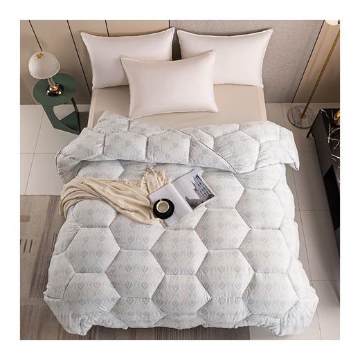 多喜爱　科技冬被〈莱昂羽丝绒加厚冬被〉 商品图3