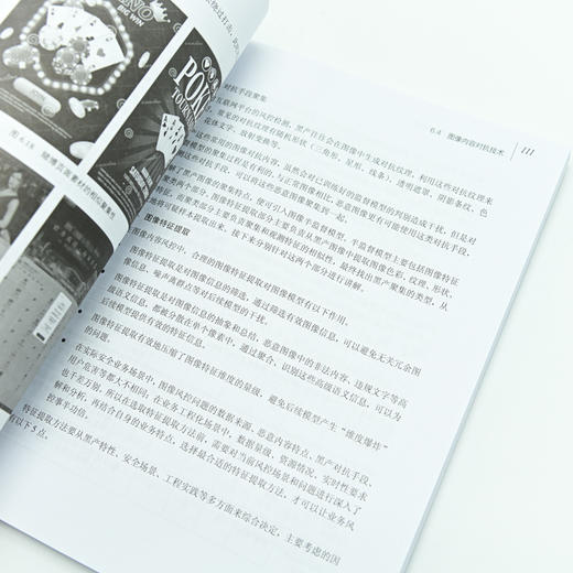 大数据*治理与防范——反欺诈体系建设 网络*大数据*对抗技术黑灰产技术*风控 商品图2