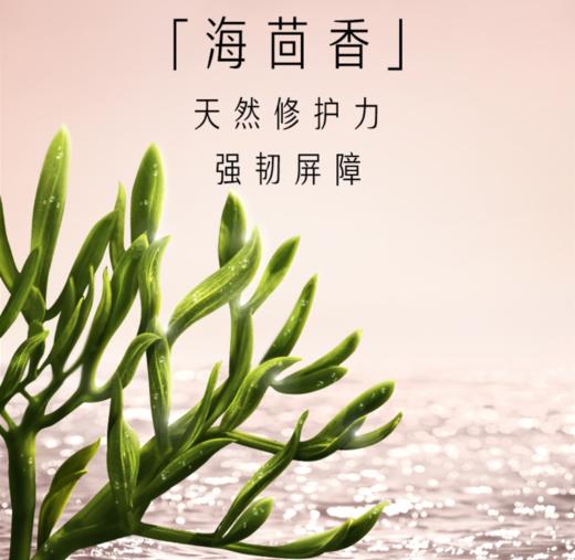 玉兰油olay超红瓶眼霜升级款15ml 商品图4