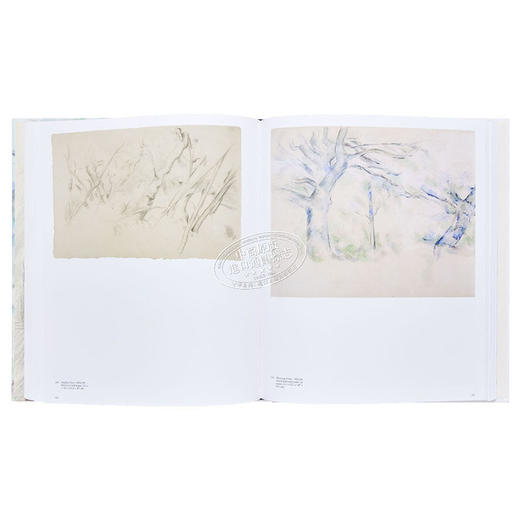【中商原版】Cezanne: The Drawings 进口艺术 塞尚的绘画作品 商品图5