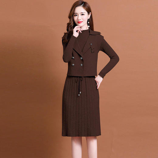 2022秋季新款时尚气质修身显瘦百搭套装两件套毛衫连衣裙 HR22079 商品图2