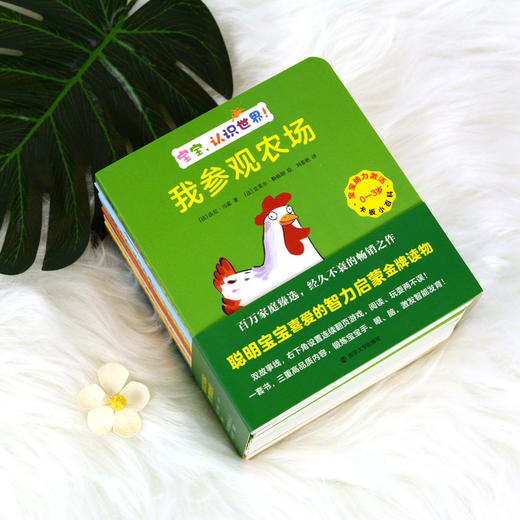 奇想国 0-3岁宝宝脑力激活卡板小百科-宝宝，认识世界！ 商品图4