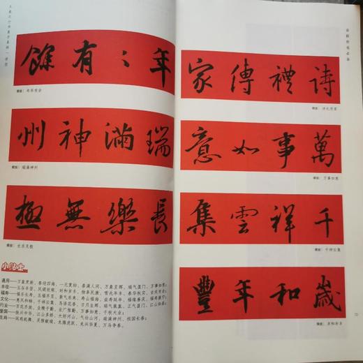 王羲之行书集字春联 商品图1