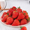 【辽宁• 丹东九九鲜草莓】 草莓中的红颜美人 鲜红如火 果肉细嫩 汁水四溢 香味浓郁 过年送礼佳品 商品缩略图4