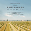 【BOTTER集团荣誉出品】普罗塞克起泡葡萄酒 意大利DOC等级 11%vol 商品缩略图7