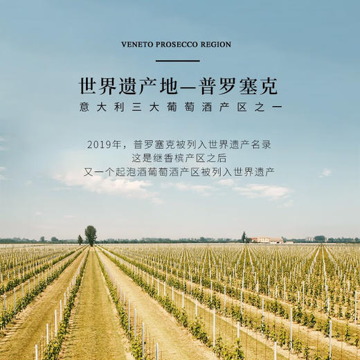 【BOTTER集团荣誉出品】普罗塞克起泡葡萄酒 意大利DOC等级 11%vol 商品图7