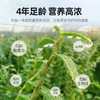【杞里香霍山铁皮石斛55g】茶枫斗鲜条干花茶粉 商品缩略图3