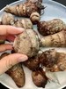 【莱阳芋头】莱阳山地芋头 国家地理标志农产品 已经晒好的芋头，熬汤，煮面条，烤着吃超级鲜美！力荐！口感细腻绵软5斤装 商品缩略图3