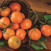 沃柑5kg 商品缩略图1