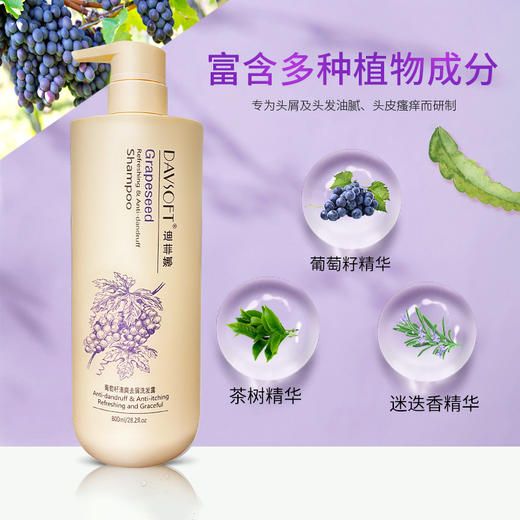 迪菲娜葡萄籽清爽祛屑/乳木果营养修护洗发露800ml 商品图1
