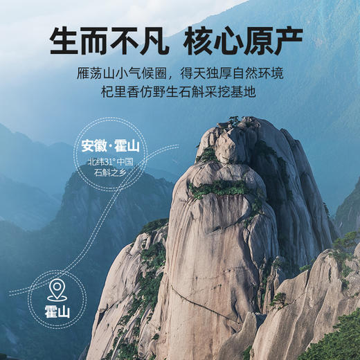 【杞里香霍山铁皮石斛55g】茶枫斗鲜条干花茶粉 商品图1