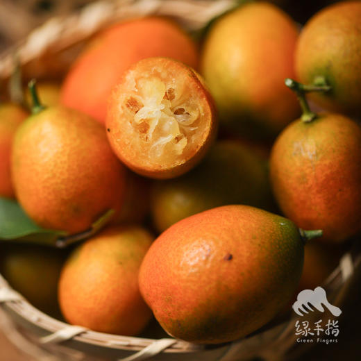 生态金桔  | 合作生产 * Ecological Kumquat  | Coproduction 商品图1