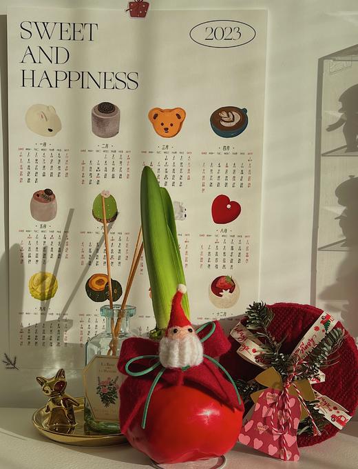 【圣诞版 注定红】朱顶红 无土无水也开花 （可快递，默认顺丰到付） 商品图4