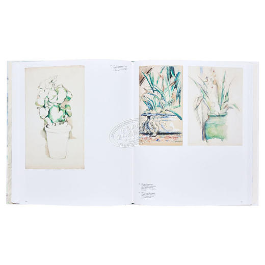 【中商原版】Cezanne: The Drawings 进口艺术 塞尚的绘画作品 商品图7