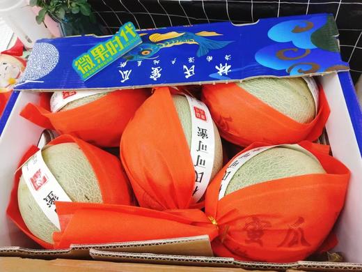 林氏可可蜜瓜一箱（拼团） 商品图2