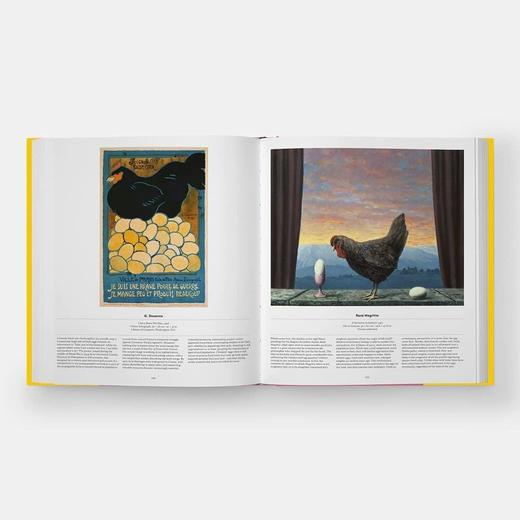 Bird: Exploring the Winged World，鸟:探索有翅膀的世界 科学科普图鉴画册，绘画 商品图6